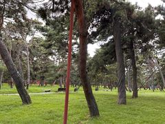-北陵公园