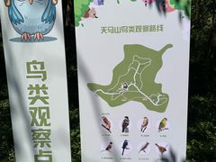 -上海佘山国家森林公园天马山园