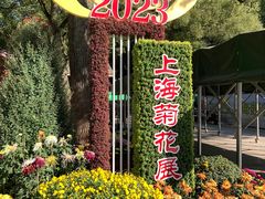 -上海共青森林公园