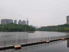 -重庆彩云湖湿地公园