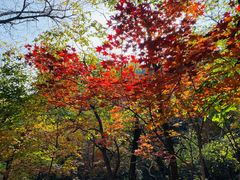 -玉渡山自然风景区
