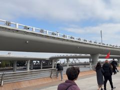 -演武大桥观景平台
