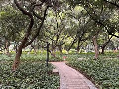 -黄埔荔枝公园