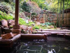 -有马温泉 竹取亭円山温泉旅馆