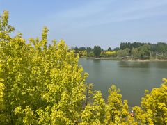 -东郊湿地公园