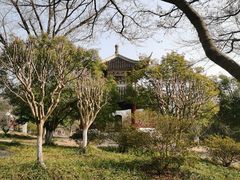 -采石矶景区