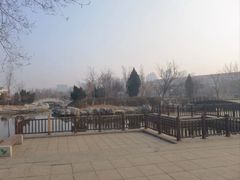 -绿岛公园(滨海新区)