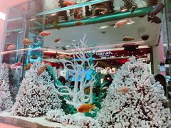 -崇光百货(铜锣湾店)