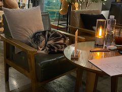 -咖法森林·咖啡  酒吧(天河店)