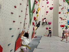 -绿壁虎攀岩基地(Tcar店)