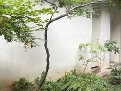 -花迹(富春江东街店)