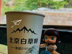 -白草畔自然风景区