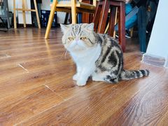 -参差咖啡(水果湖公园店)