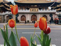 -静安公园(静安寺街道)