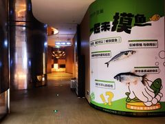 -涨巢·潮玩水疗局