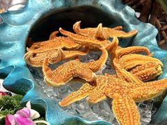 -北京海德酒店温泉