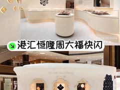 -港汇恒隆广场