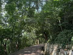 -紫金山山顶公园