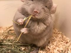 -龙猫仔乐园(惠福东路店)