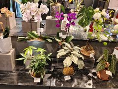 -Olé精品超市(前海壹方城店)