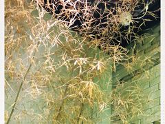 -茶理宜世(东方宝泰店)