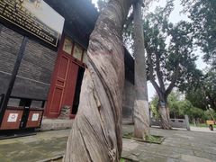 -关林