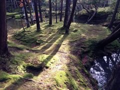 -西芳寺(苔寺)