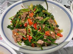 香菜炒牛肉-壹盏灯(蚂蚁工房店)