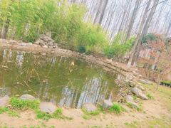 -林间山庄