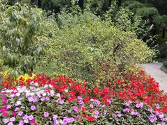 -庐山风景区花径公园