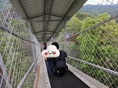 -修水东浒寨风景区