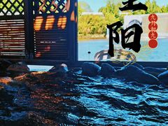 -春晖园度假酒店温泉