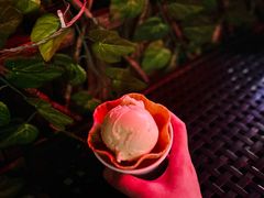 -申德勒加油站餐厅(三里屯北小街店)