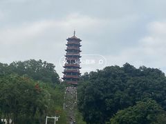 -红花山公园