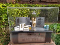 -广州神农草堂中医药博物馆