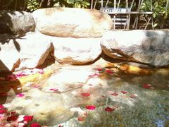 -厦门日月谷温泉渡假村