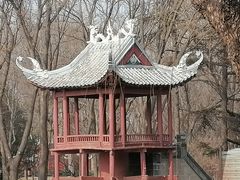 -北京世界公园