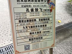 -西双版纳原始森林公园