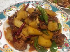 -巴依老爷新疆美食(清华东门店)