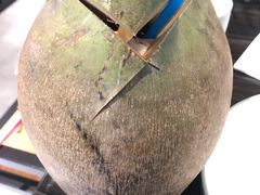 -东椰·海南椰子鸡火锅(朝阳门店)