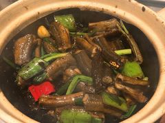 招牌啫黄鳝-啫神·广州地标美食(北京路店)