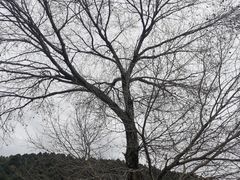 -玉华宫景区