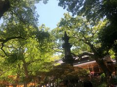 -普陀山风景名胜区-法雨禅寺