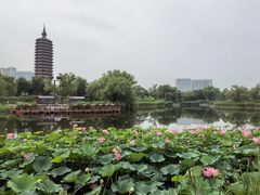 -西海子公园