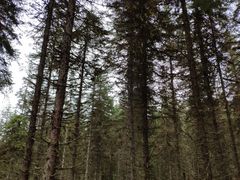 -硗碛藏寨·神木垒景区