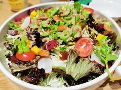 -紫光园·烤鸭(吕家营店)