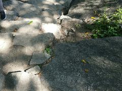 -大岭沟猕猴桃谷风景区