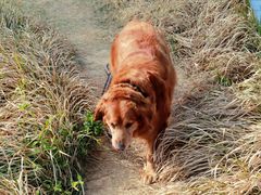 -南京市无想山景区