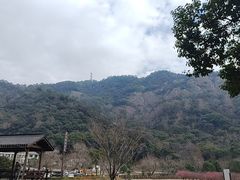 -雁荡山风景名胜区