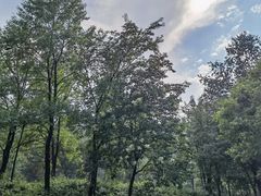 -玉渡山自然风景区